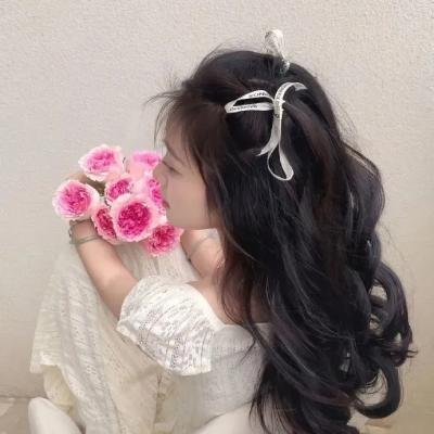 小蜜蜂 勇气的旋律