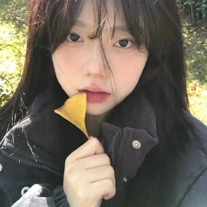 献给检察官的玫瑰花